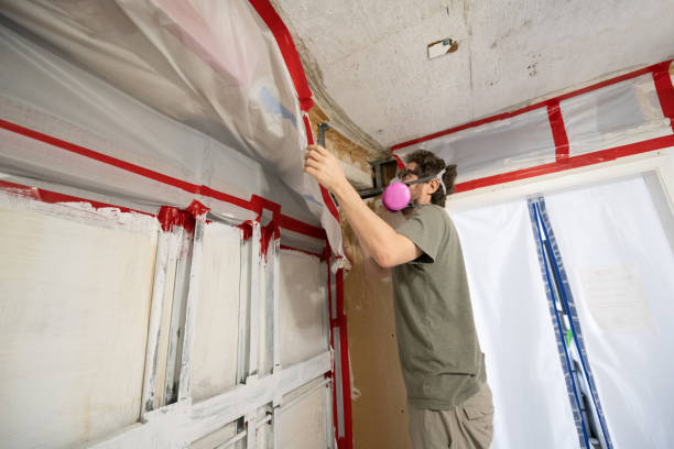 Reliable Grandview Heights, OH Mold Inspection, Removal & Remediation Solutions